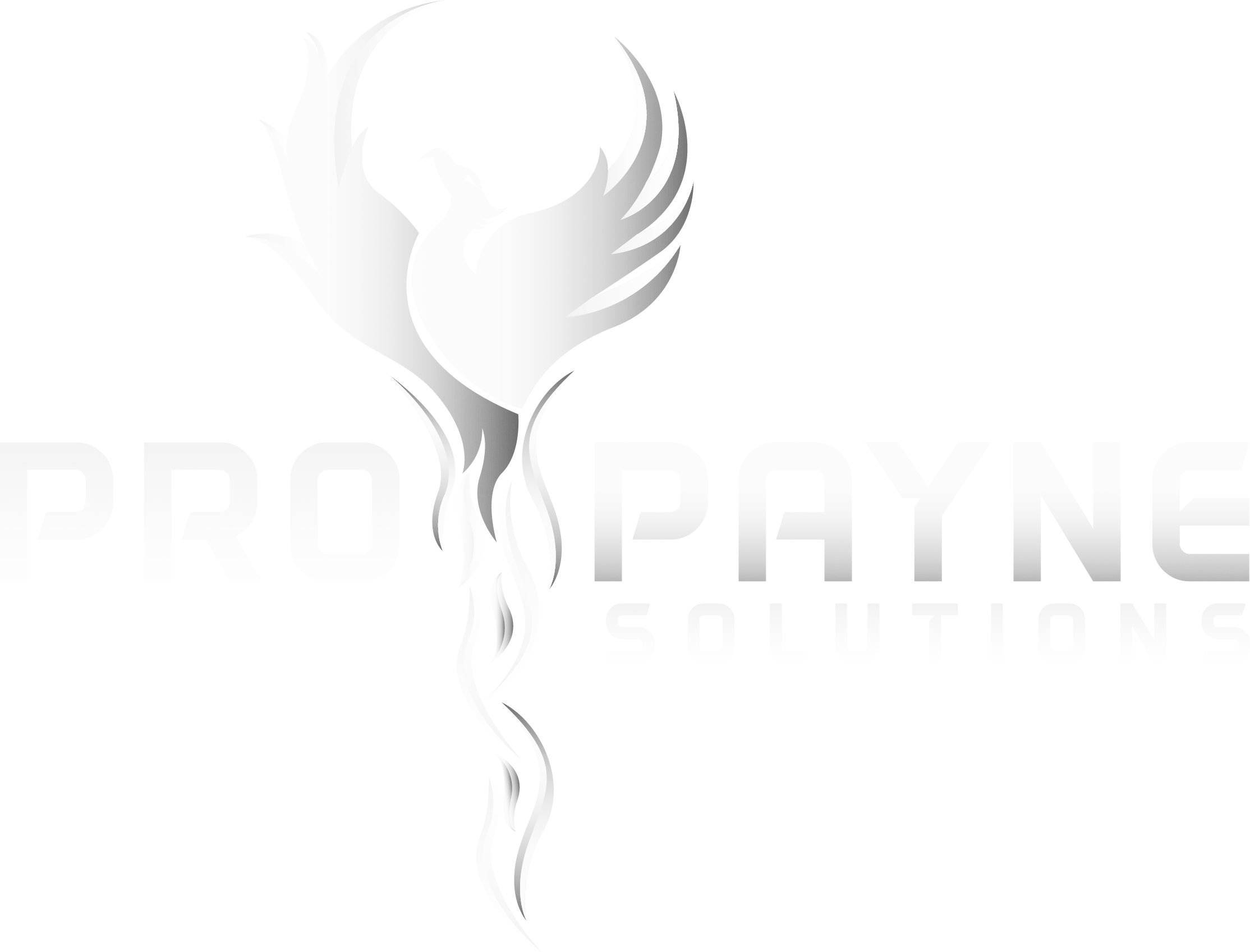 ProPayne Site Logo